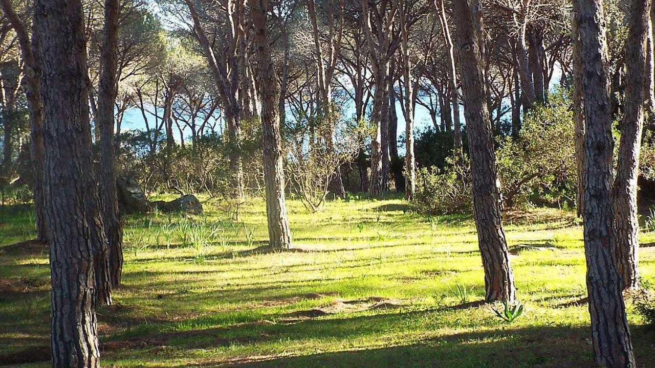 Villetta Con Giardino A Budoni Exterior foto